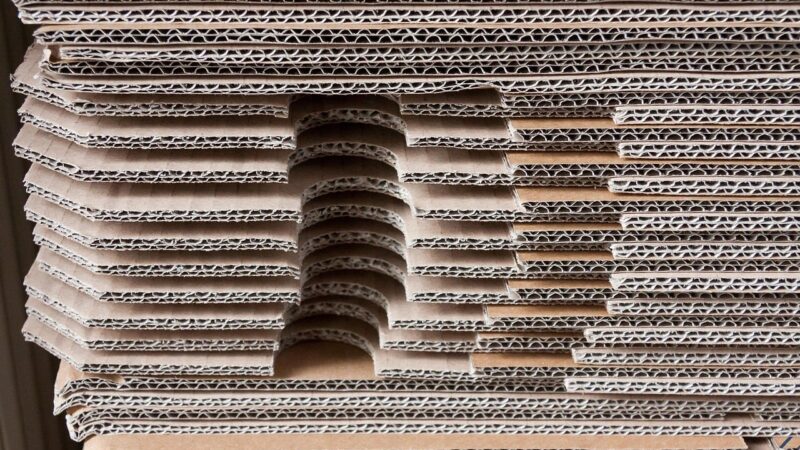 XPLG11 aprova 9ª emissão com R$ 1 bi e preferência definida