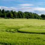 Fiagros chegam a R$ 11,7 bi e ampliam base de investidores