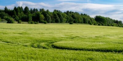 Fiagros chegam a R$ 11,7 bi e ampliam base de investidores