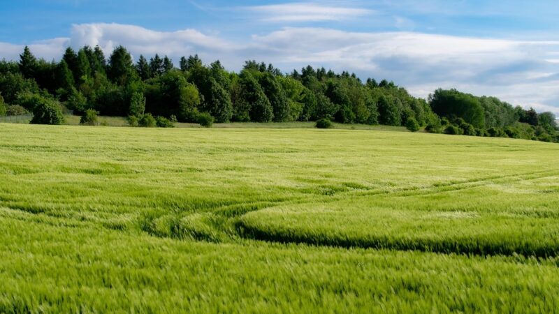 Fiagros chegam a R$ 11,7 bi e ampliam base de investidores