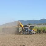 Lucro da São Martinho dispara 168,5% e reforça tese positiva; veja valor