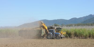 Lucro da São Martinho dispara 168,5% e reforça tese positiva; veja valor