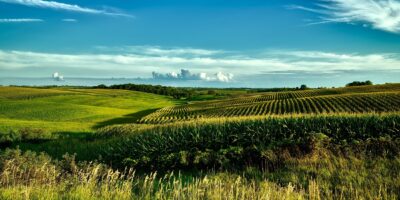 SNFZ11 paga R$ 0,10 por cota e detalha estratégia do fundo